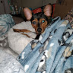 Meet your Posher, Sandra